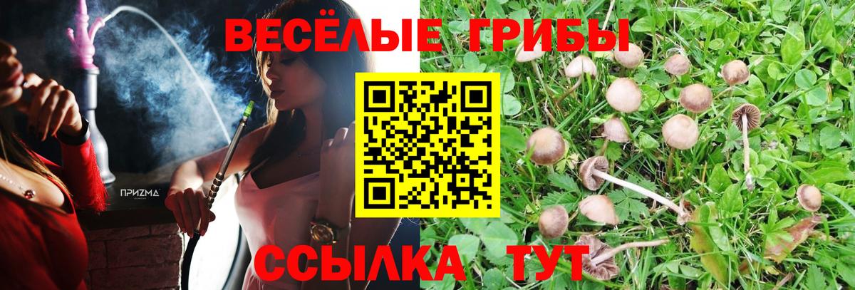 Псилоцибиновые грибы GOLDEN TEACHER Дзержинск