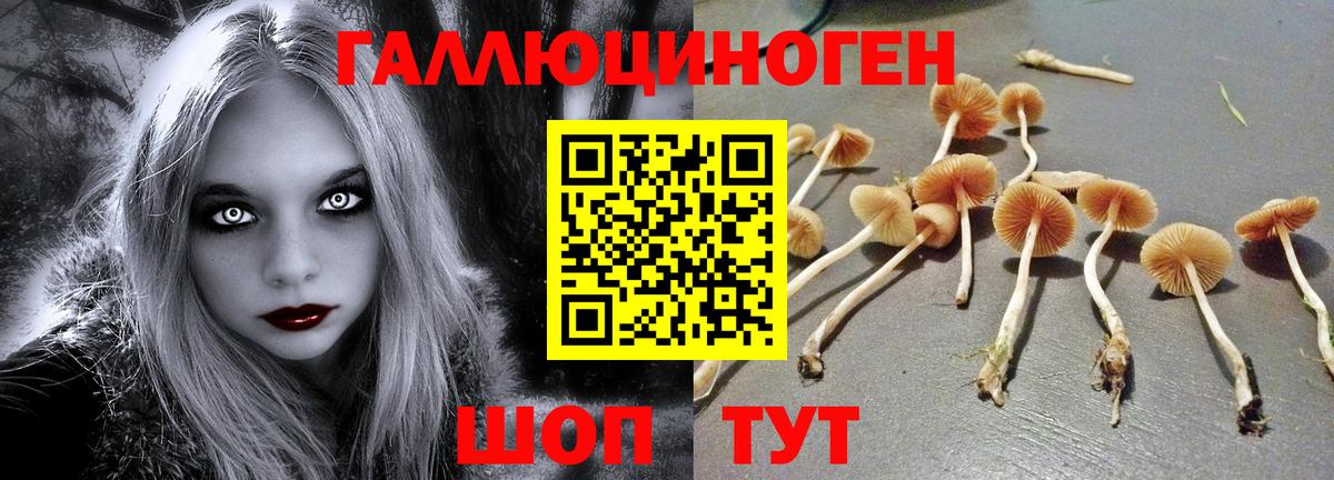 Псилоцибиновые грибы Psilocybe  Галлюциногенные грибы Magic Shrooms  Дзержинск 