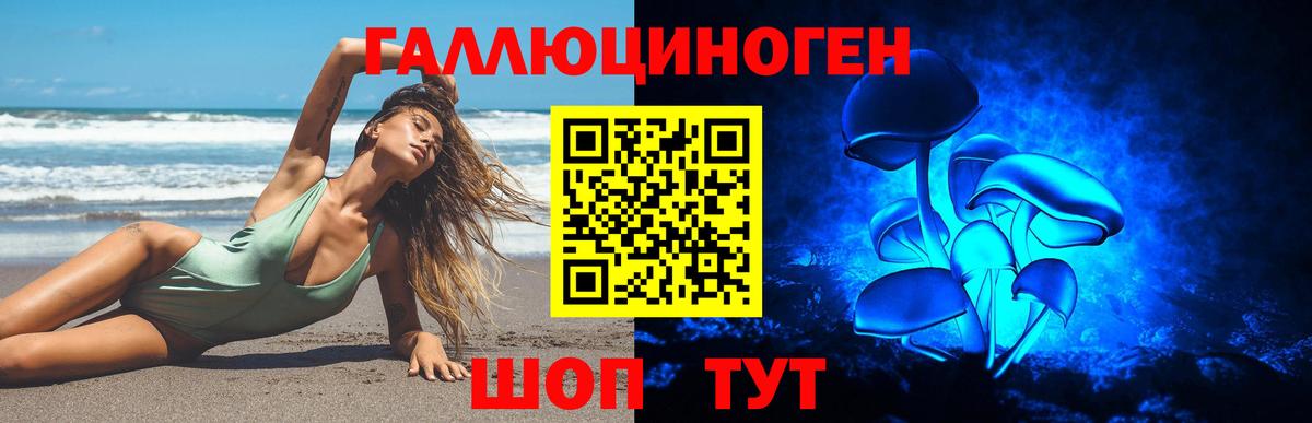 Галлюциногенные грибы Psilocybine cubensis  Вход с VPN  Дзержинск  Галлюциногенные грибы GOLDEN TEACHER 